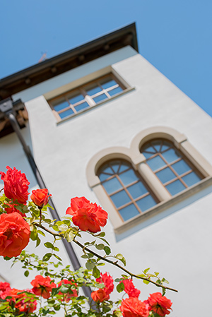 Ferienwohnungen in Tramin, Südtirol