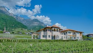 Gutshof Rellich Tramin