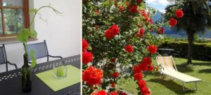 Gartenanlage Feldhof