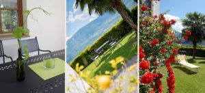 Feldhof Garten und Laube