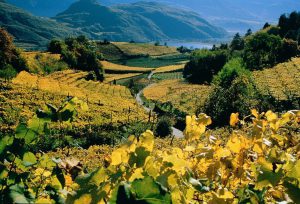 Herbst in Südtirols Süden