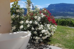 gutshof_tub