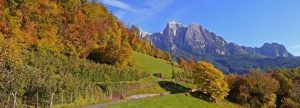 Herbst in Südtirol