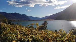 Herbst am Kalterer See