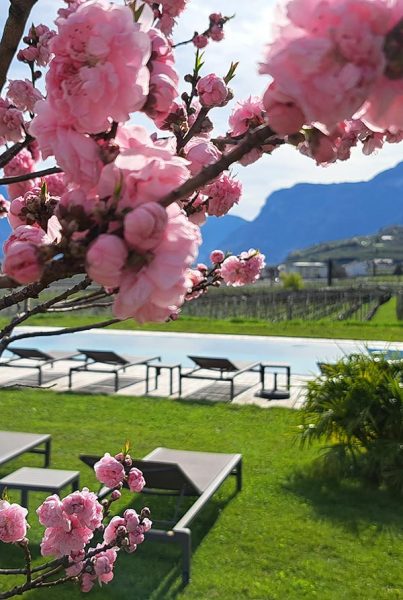 Frühling am Gutshof Rellich