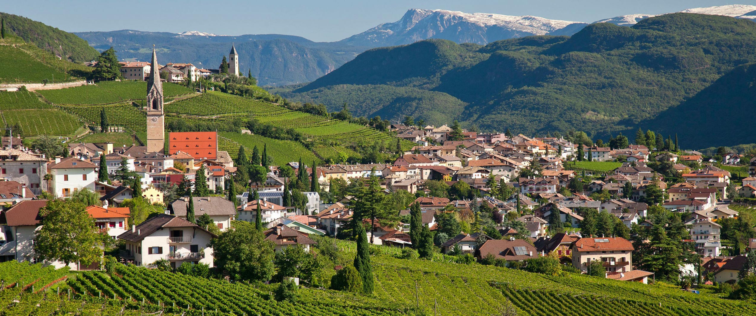 tramin-1-2550x1068_c