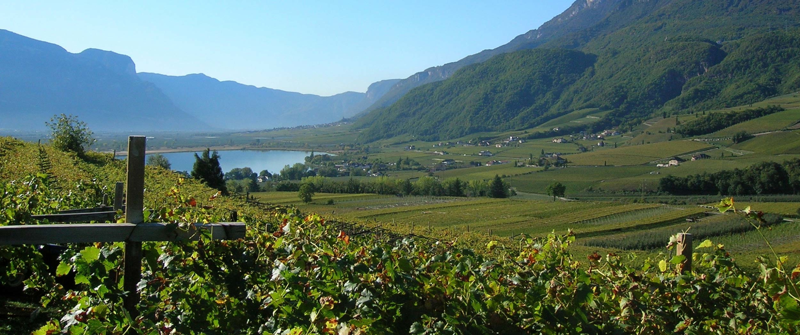 tramin-5-2550x1068_c